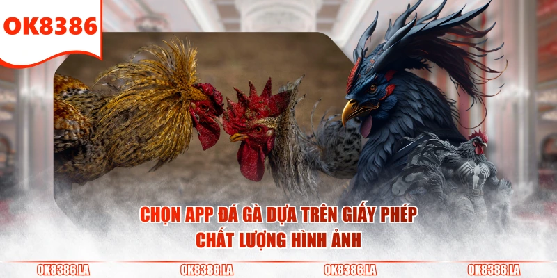 Chọn app đá gà dựa trên giấy phép, chất lượng hình ảnh